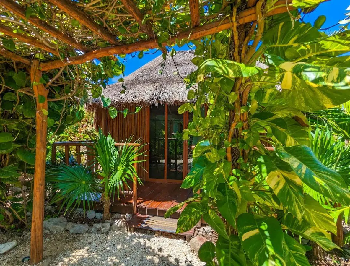 Stunning 6 Private Villas & Ph Wifi Ac Pool Gym تولوم 4*,  المكسيك