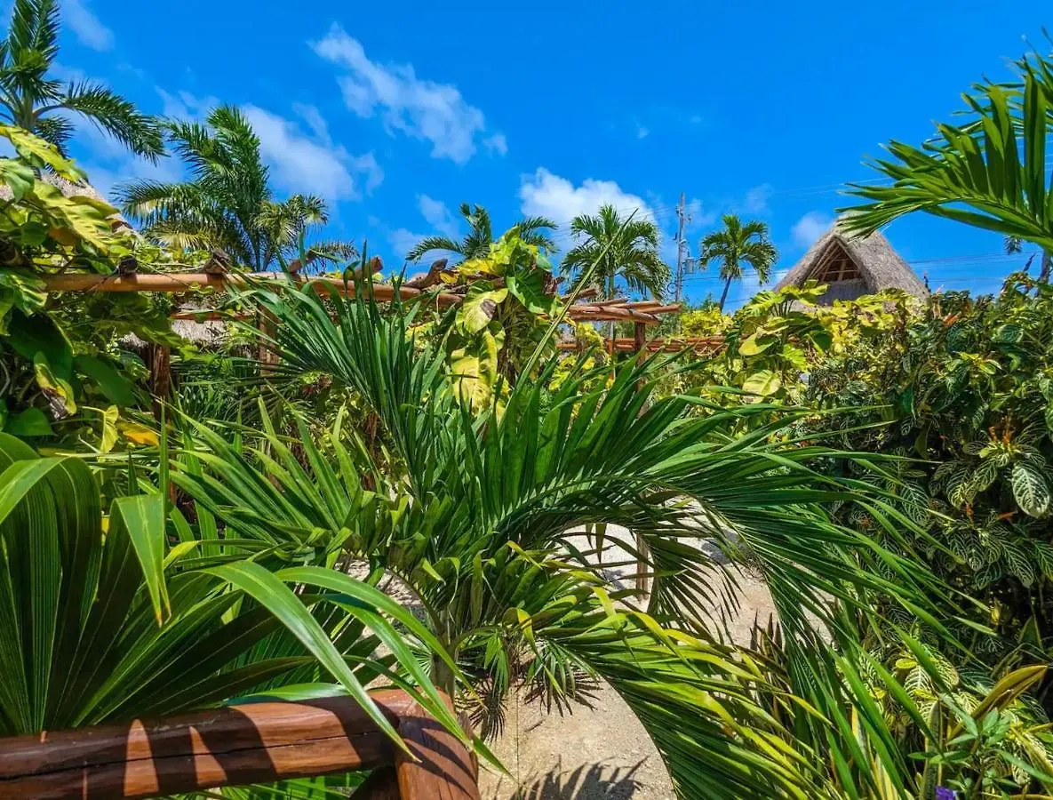Stunning 6 Private Villas & Ph Wifi Ac Pool Gym تولوم المكسيك