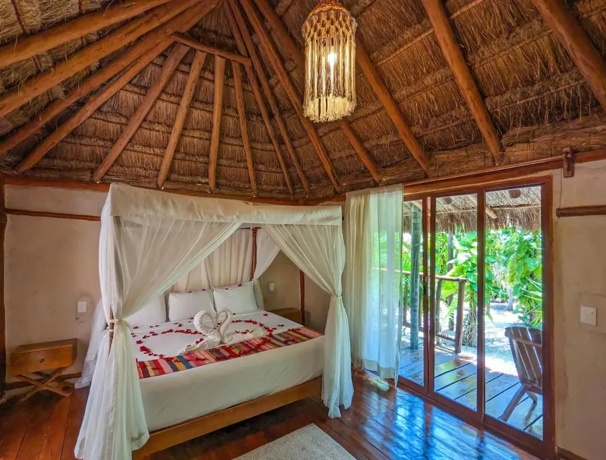 Stunning 6 Private Villas & Ph Wifi Ac Pool Gym تولوم 4*,