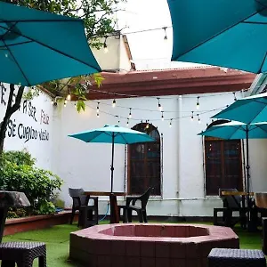 book here